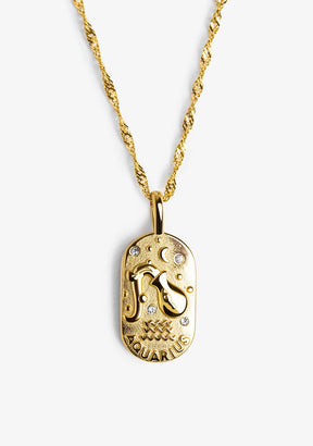 Aquarius Zodiac Necklace Steel Gold