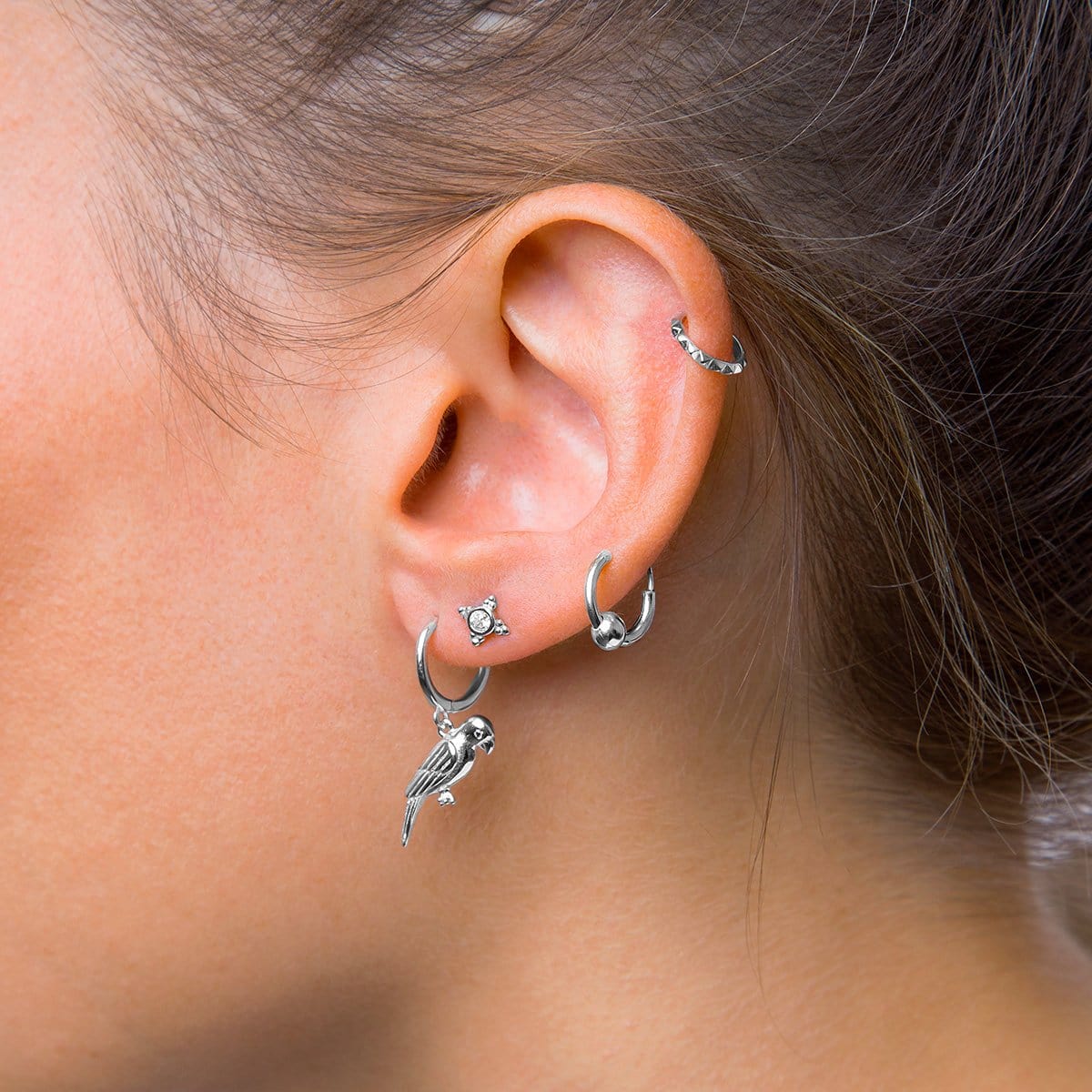 Aro Parrot Silver piercing