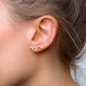 Climber Stylish Zirconia Gold Earring